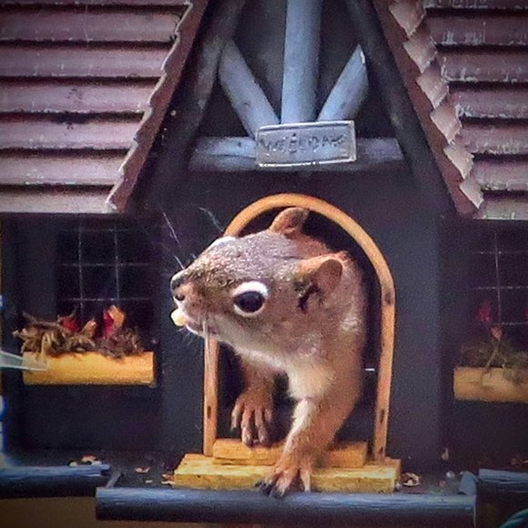 Meet your Posher, Sarah - Picture 8 of 9